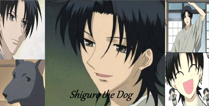 Shigure Sohma