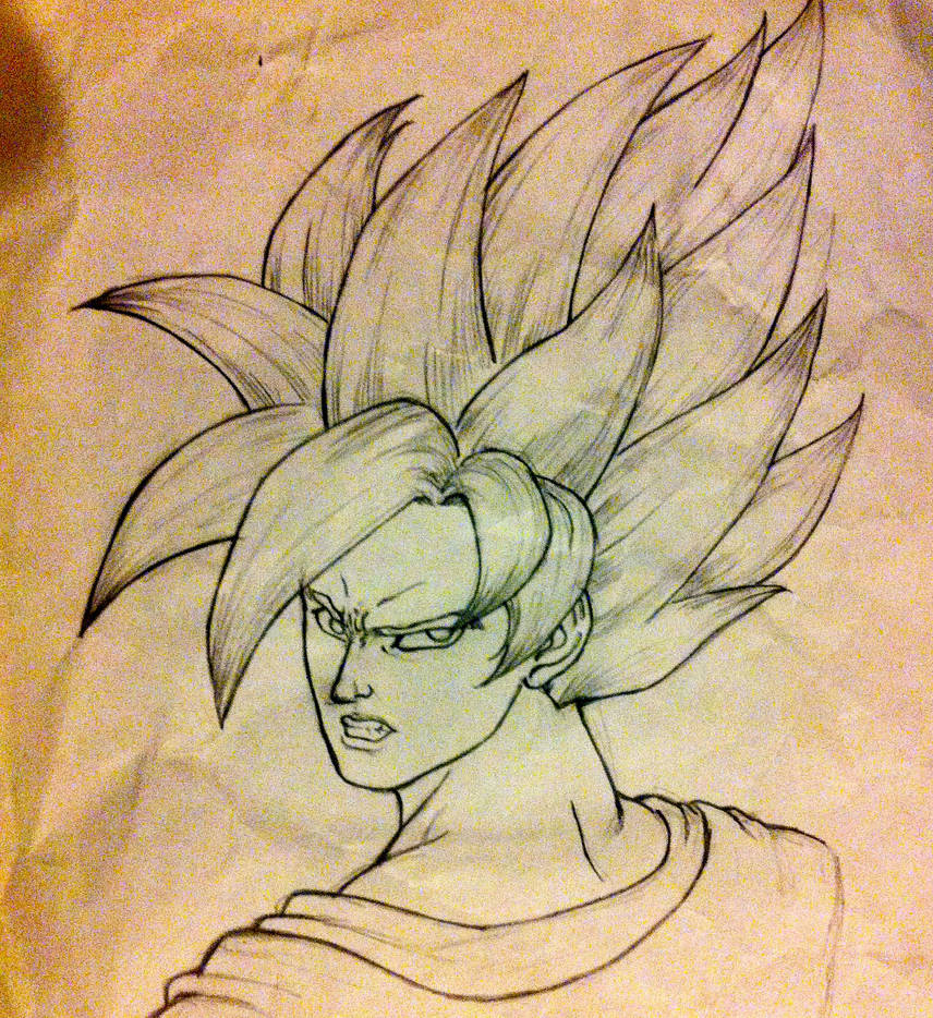 1 Sayan The Sayan by Shan-Goo77 on DeviantArt
