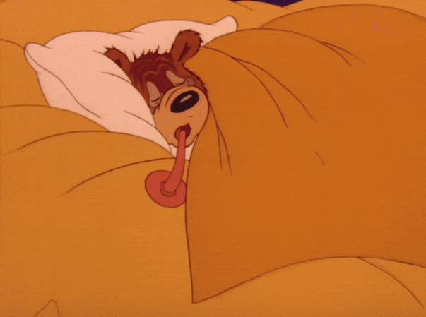 Bah Wilderness Bed GIF 4