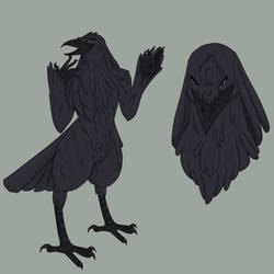 Raven Furry