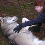 Me and my wolf friend