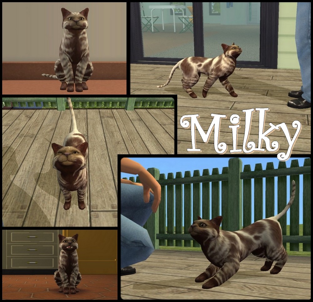 Milky