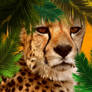 Cheetah in the Jungle