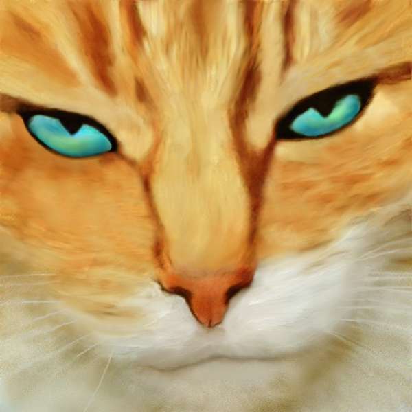 Feline Portrait