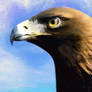 Eagle Portrait