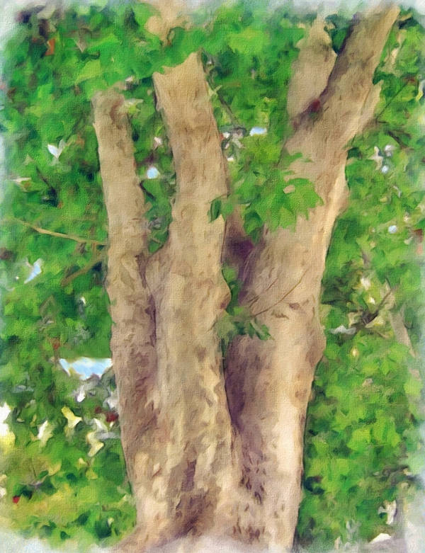 Tree by allison731