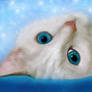 Blue Cat Eyes