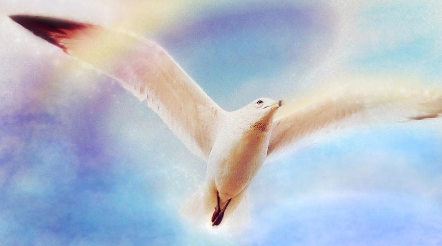 Fly to Heaven by allison731 Fly to Heaven by allison731