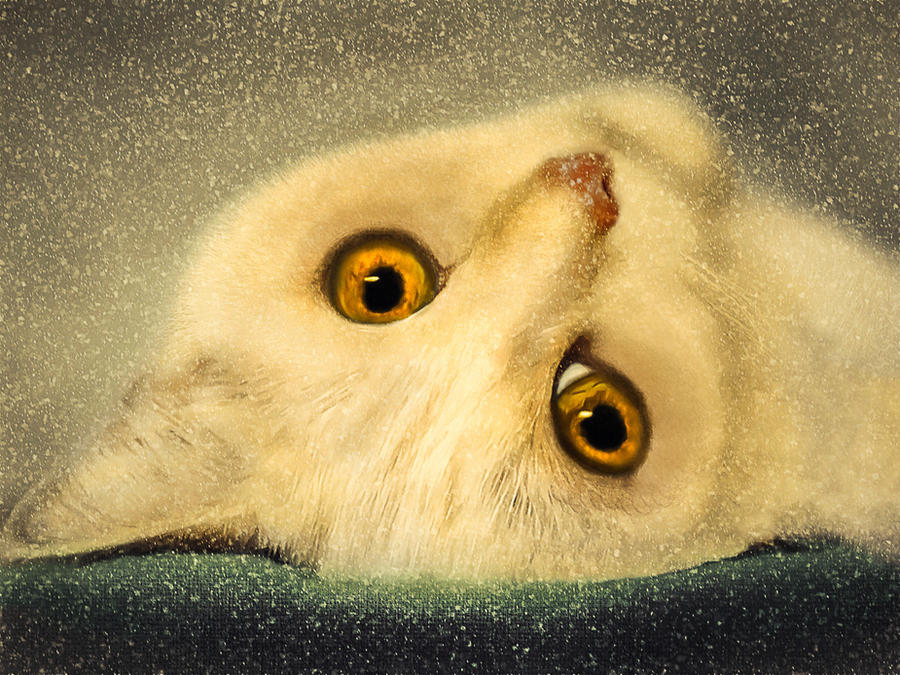 Golden Eyes by allison731 Golden Eyes by allison731