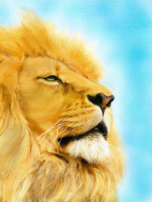 Lion Portrait II by allison731
