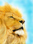 Lion Portrait II