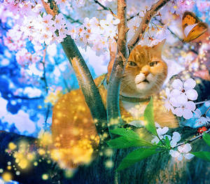 Spring Beauty III by allison731 Spring Beauty III by allison731