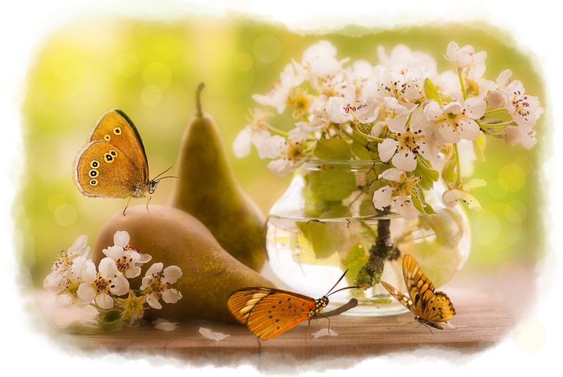 Pears and Butterflies by allison731 Pears and Butterflies by allison731