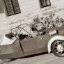 Antique Car-Photo II