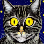 Starry Cat by allison731
