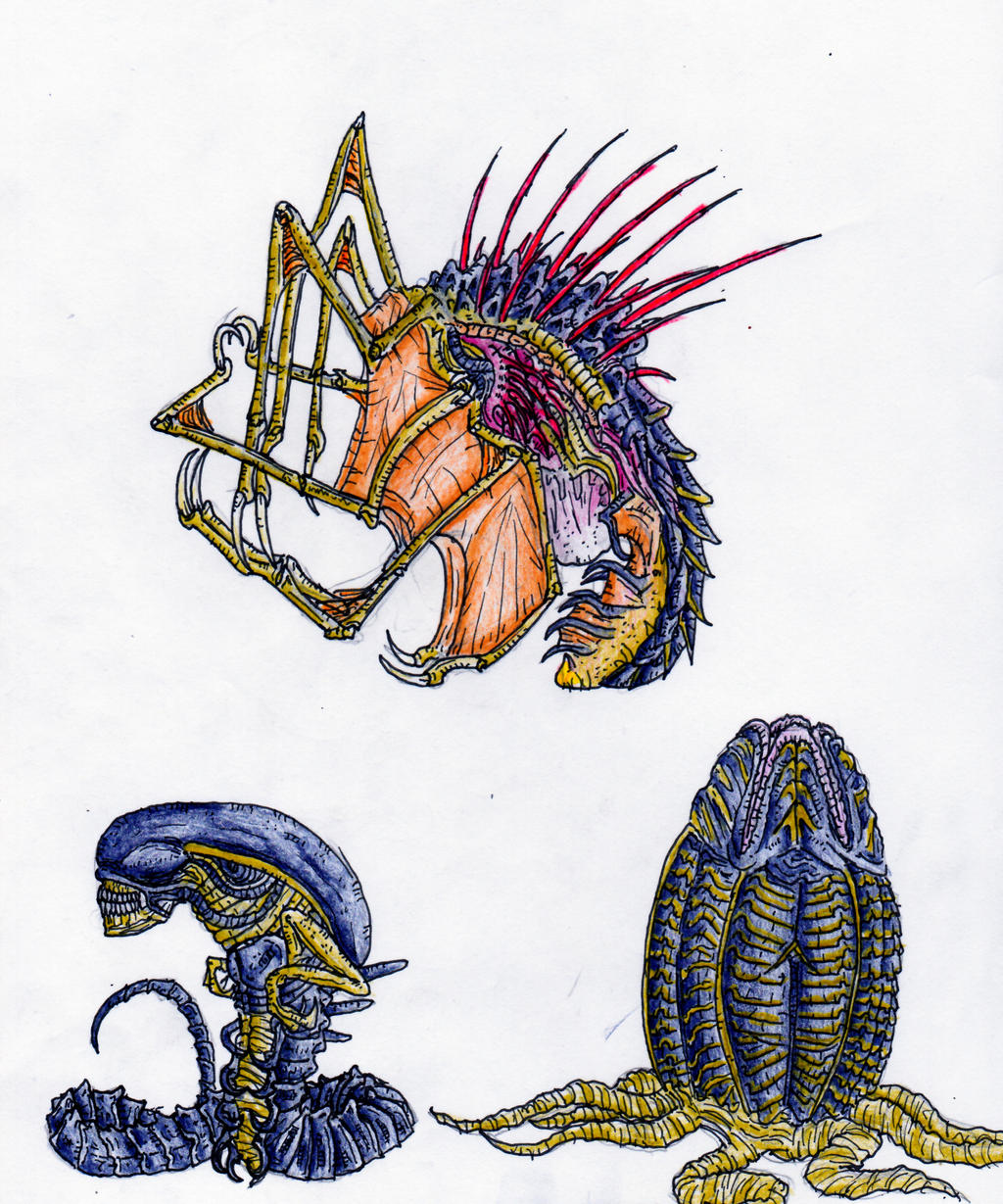 Xenomorph Chestburster Drawing Xenomorph Queen Mother Sketch | Alien