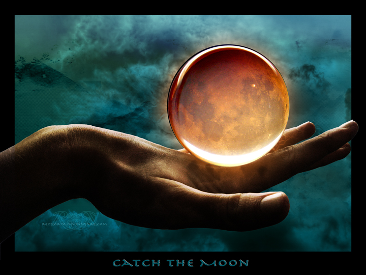 Catch the Moon