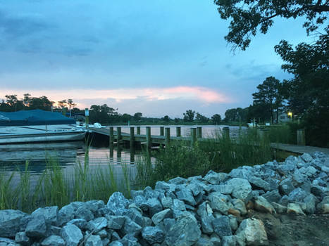 Dusk at the Marina