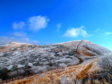 Up the Hill with a Coat