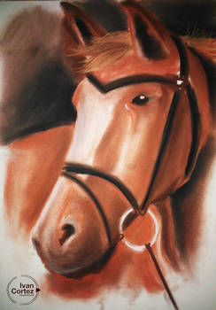 Horse painting