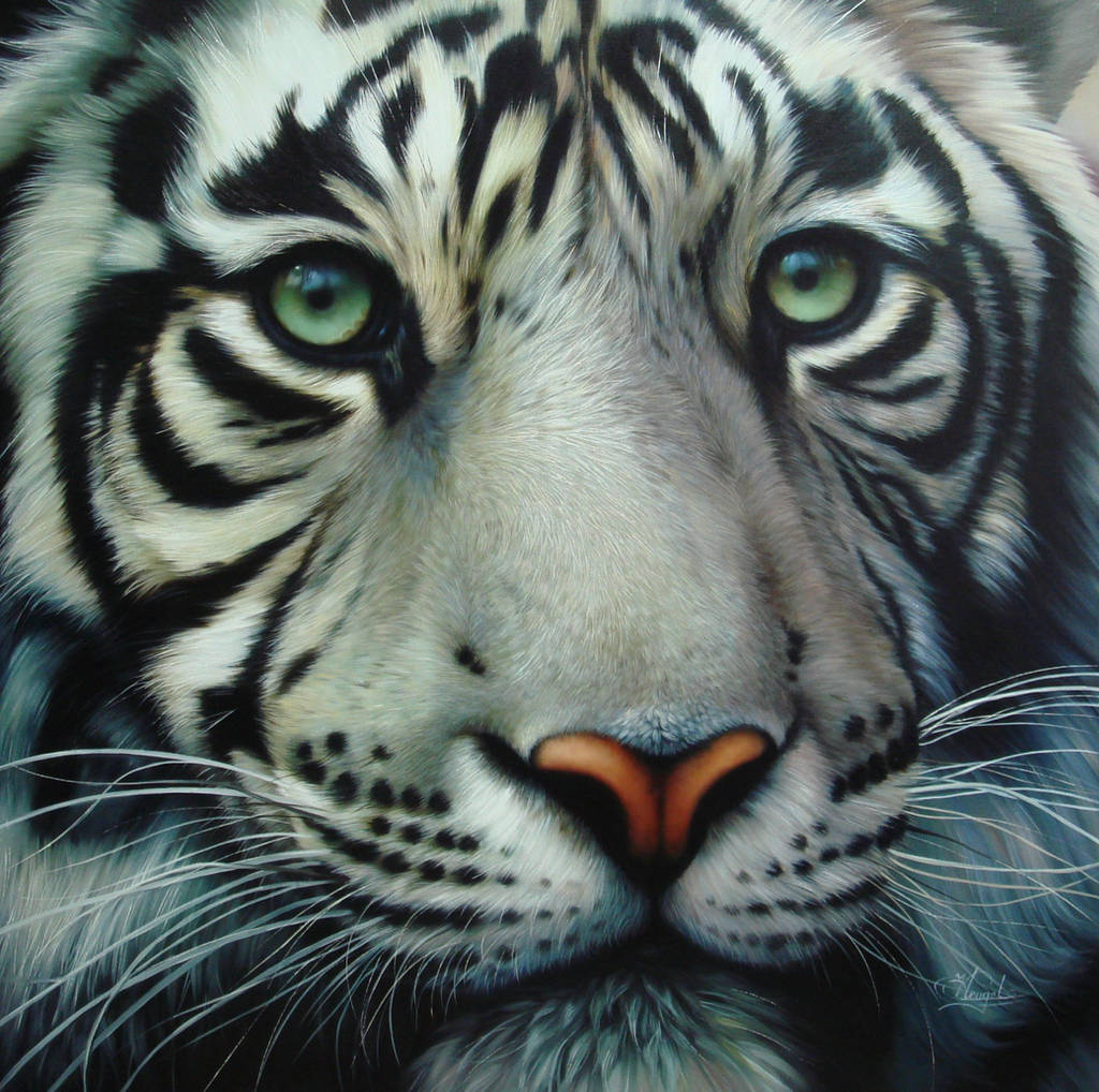 white tiger 2 by Raipun