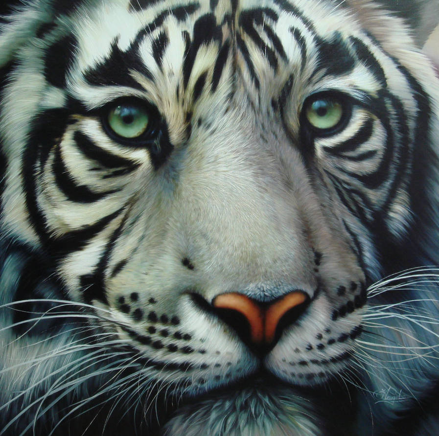 white tiger 2 by Raipun
