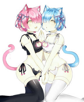 Rem and Ram Mannequin Transformation