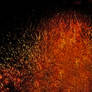 Flame of Udun