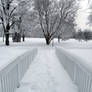 Snowy Path