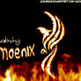 awakning phoenix