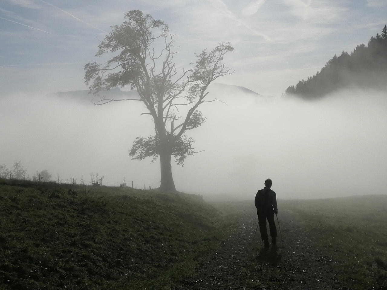 Pull Into Mist Walking into the mist by J-Felix on DeviantArt