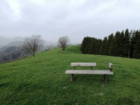 The bench