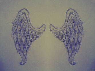 Wings ^^