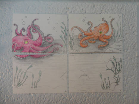 Meetting of the Octopi