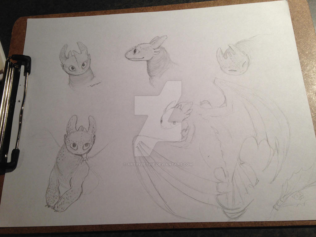 Toothless sketches! by ArtByBethie on DeviantArt