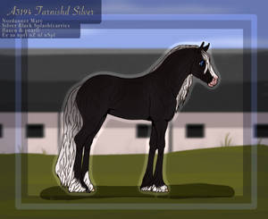 A3194 Tarnished Silver