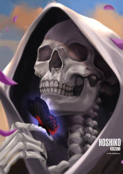 Hoshiko Koizumi: The Angel of Bone