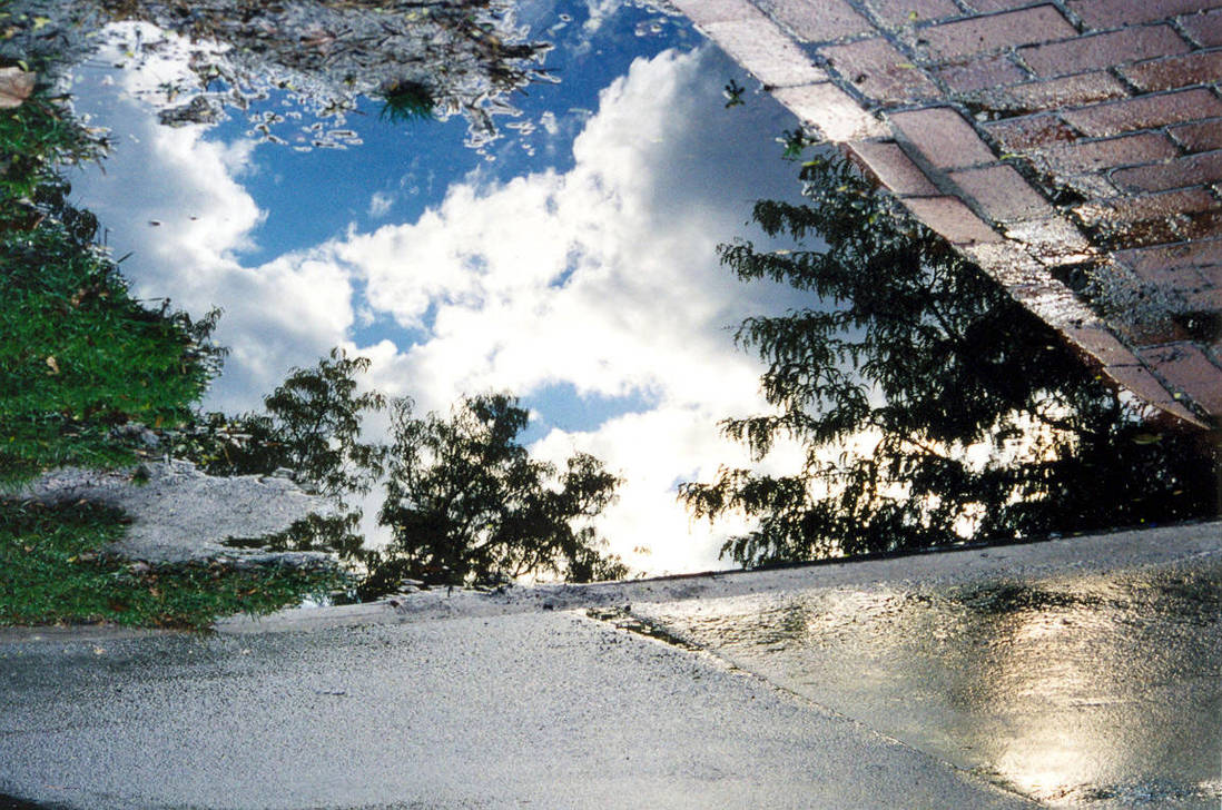 puddle reflecting nature by wonderbread86 on DeviantArt