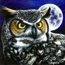 Great Horned owl acrylic
