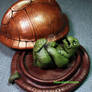 Turtle Shell Box with Nekked Turtle