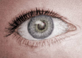 Eye Study Sketch - Colored