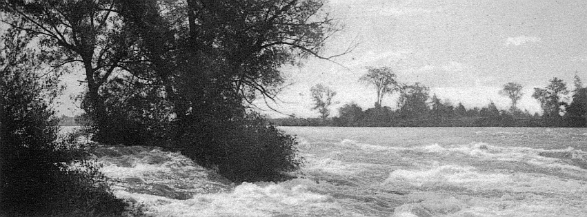 View of Goat Island from Willow Island (1905)