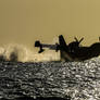 waterplane sunset