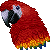 Red Macaw by DPA-avatars