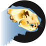 Lion Skull Diagram