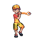 Leader Phoenix