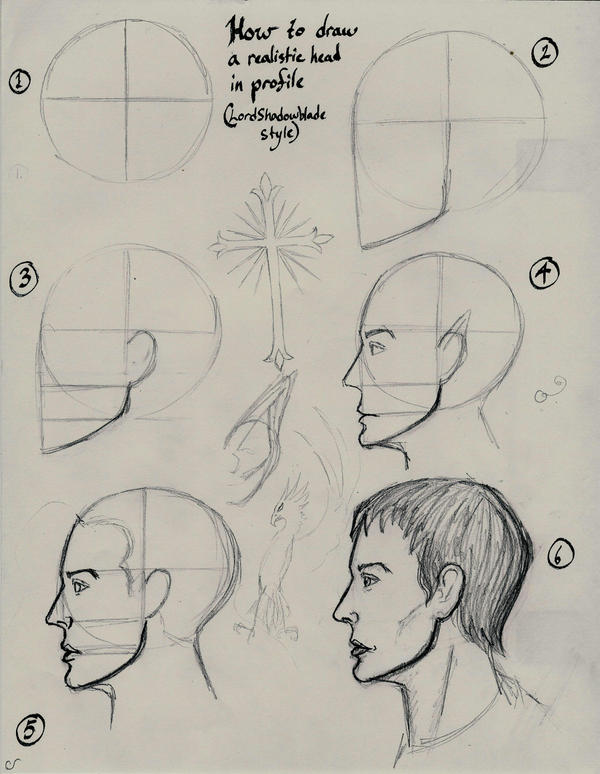 How to draw a head in profile by Theophilia on DeviantArt