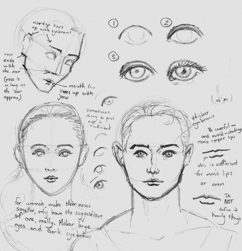 40 easy step by step art drawings to practice - page 3... Tutorial: faces and eyes by Theophilia on DeviantArt