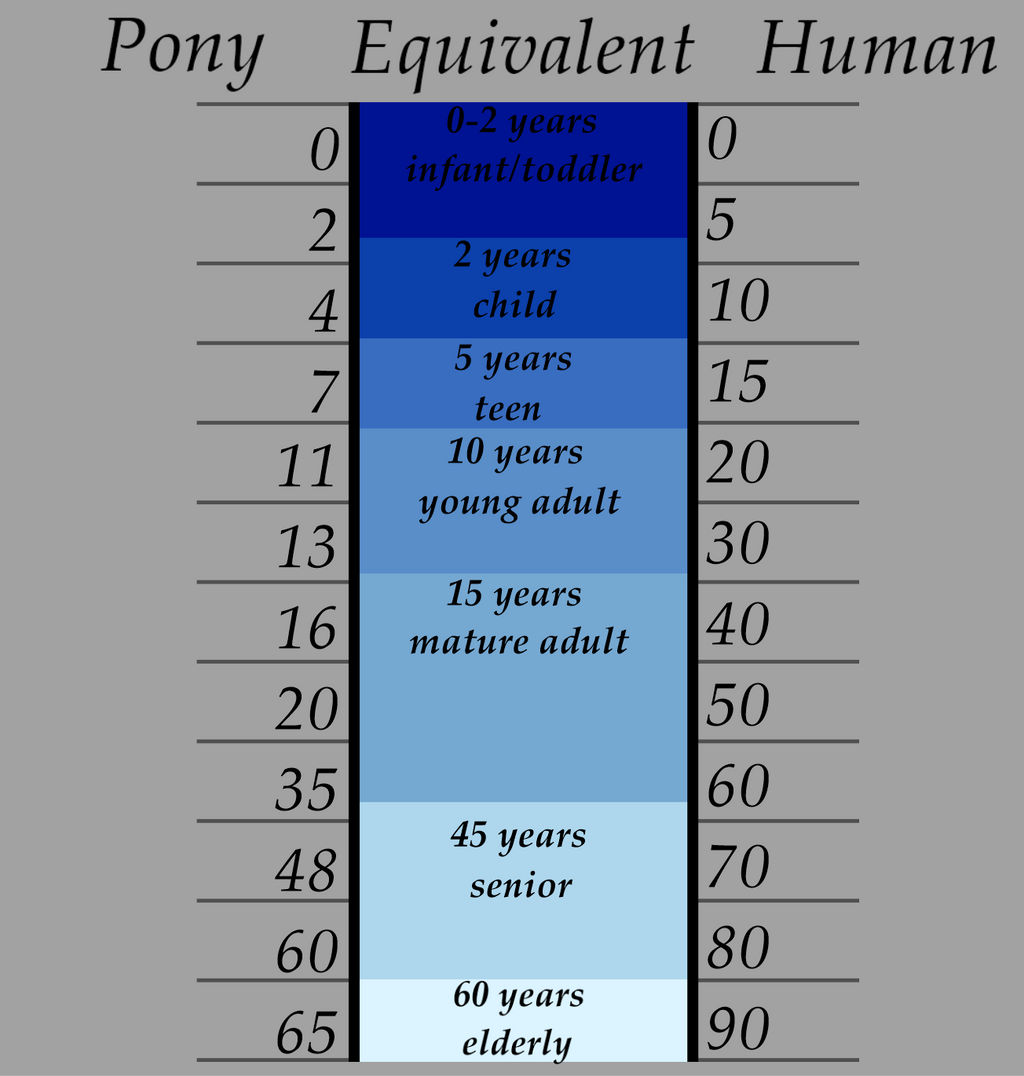 Age Comparison by MythPony on DeviantArt Pony Age Chart 2025 Usa