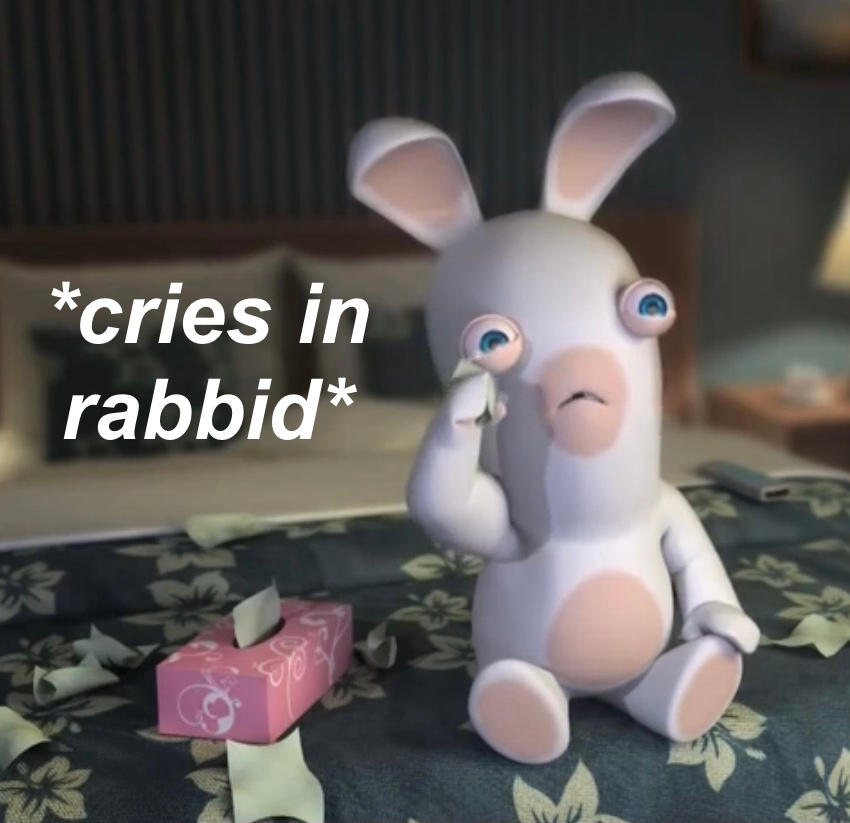 Splatted Rabbit Meme Rabbid Meme 1 by CinderHollow13 on DeviantArt